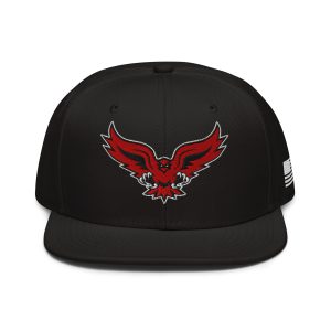 Hartford Hawks Snapback Hat